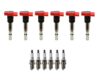 Denso Ignition Coil Kit (6 Pieces)