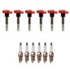 Denso Ignition Coil Kit (6 Pieces)