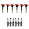Denso Ignition Coil Kit (6 Pieces)