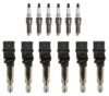 VW Ignition Coil Kit  (6 Pieces) – Denso