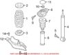 Coil Spring – Rear