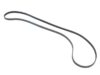 CONTINENTAL Belt 7DK X 2880 7DPK 2880