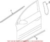 Door Rub Strip – Front Driver Side (Chrome)