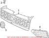 Grille – Front Passenger Side