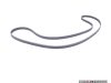 2880mm Rubber Accessory Belt