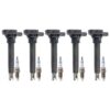 VW Ignition Coil Kit (Platinum)  07K905715G – Bosch
