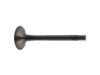 FEBI BILSTEIN Exhaust Valve 21024