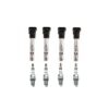 Bosch Ignition Coil Kit (Iridium IX)