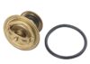WAHLER Thermostat 4256.83D60