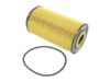 HENGST Oil Filter Kit E314H01 D58