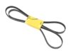 CONTINENTAL Belt 6K X 2404 6PK 2404