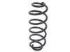 Suplex Coil Spring - 03152