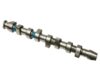 KOLBENSCHMIDT Camshaft 50006202