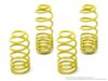 Lowering Springs Kit | Race • 2.8L Golf/Jetta Mk4