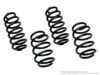 Lowering Springs Kit | Race • PQ35 Jetta/Passat Wagon, A3 quattro