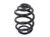 Suplex Coil Spring - 06029