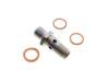 Bosch Fuel Pump Check Valve - 1-587-010-003