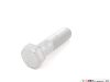 Crankshaft Pulley Bolt
