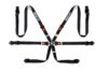 Sparco Belt PD 6 Point 2in Black Harness