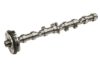 GENUINE VW/AUDI Camshaft 06H-109-021 K