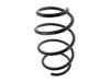Suplex Coil Spring - 06362