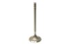 TRW Intake Valve 39112