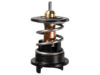 FEBI BILSTEIN Thermostat 171912