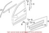 VW Door Applique – Front Passenger Side