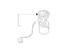 Fuel Pump – Pasenger Side