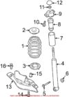 Coil Spring – Rear