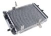 NISSENS Radiator 60363