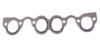 VW Intake Manifold Gasket 037129717H – Elring 625440