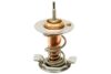LN ENGINEERING Thermostat 106.06.1