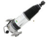 ARNOTT INDUSTRIES Air Suspension Strut AS-3167