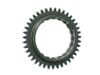 Rauch & Spiegel Gear Teeth 901 302 242 03