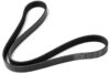 VW Accessory Drive Belt (6K 1153) 037260849C – Continental 6K1153