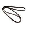 Porsche Accessory Drive Belt (6K 858) 99919226650 – Continental 6K858