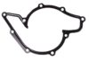 ELRING KLINGER Water Pump Gasket 710.56
