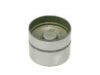 INA US Hydraulic Valve Lifter - 420 0047 100