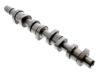 FEBI BILSTEIN Camshaft 29852