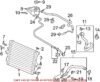 Genuine VW/Audi Radiator Coolant Hose – Lower 7L8121051L