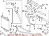 Genuine VW/Audi Radiator Coolant Hose – Driver Side Lower 7L8121070AH