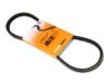 CONTINENTAL Belt 11.5 X 790 11-5X790