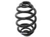 Suplex Coil Spring - 06026