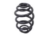 Suplex Coil Spring - 06126