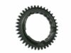 Rauch & Spiegel Gear Teeth 930 302 243 00