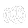 Coil Spring – Rear