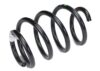 Coil Spring – Front