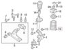 Coil Spring – Front