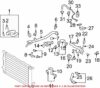Genuine VW/Audi Radiator Coolant Hose – Upper 8K0121101L